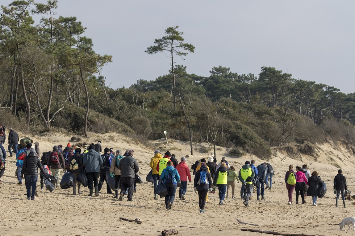 Action Estran organisée par le Parc de l'Estuaire-crédit photo-Jérome Chevereau