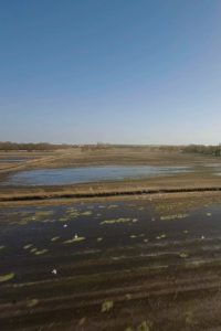 Marais de Chenaumoine